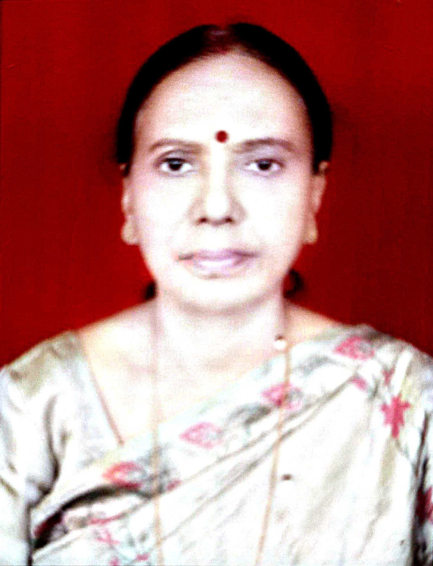 Principal Dr.Alka Shrivastava